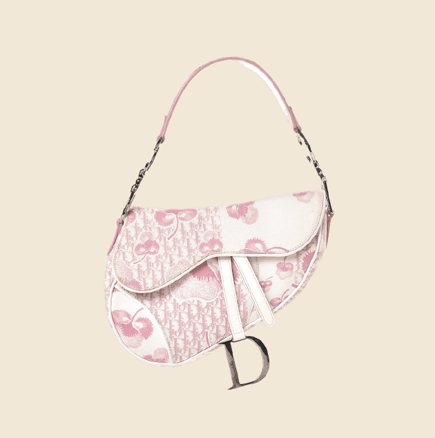 dior girly saddle bag