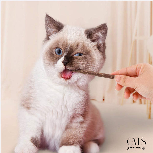 Miracle Anti-Tartar-tandløsning til katte: Eliminer tandsten – Your