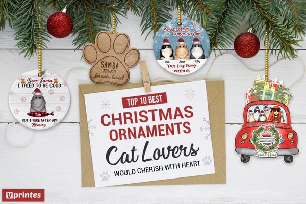 Family Gift Personalized Cat Ornament Christmas Ornament Cat Lover