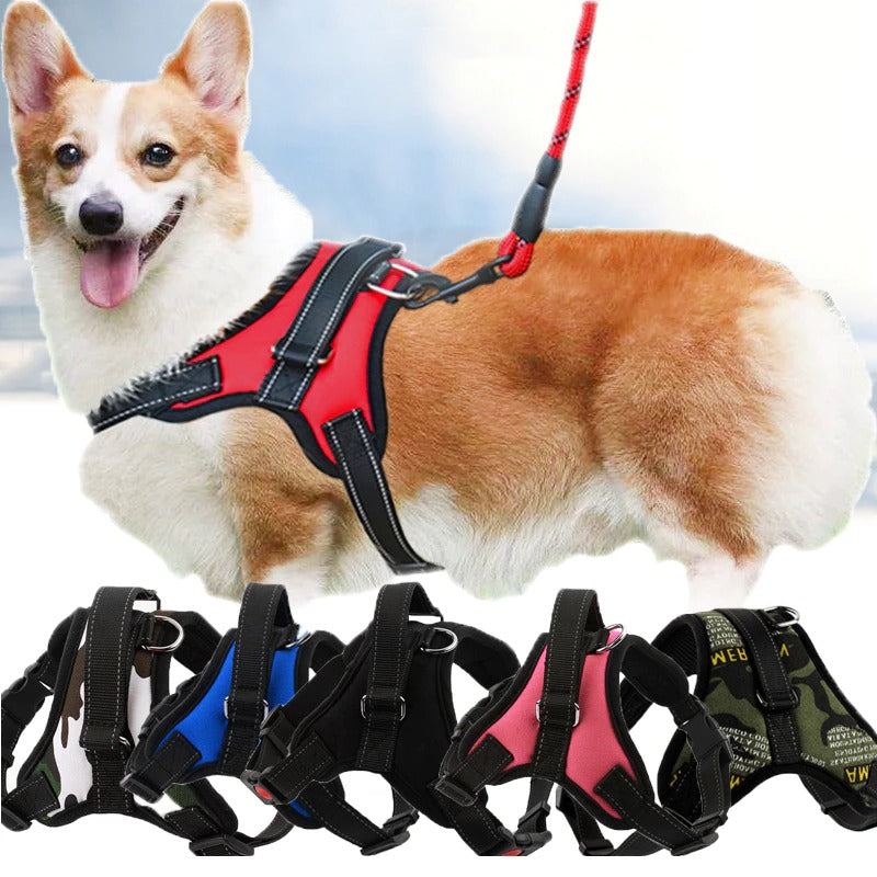 bolux dog harness website