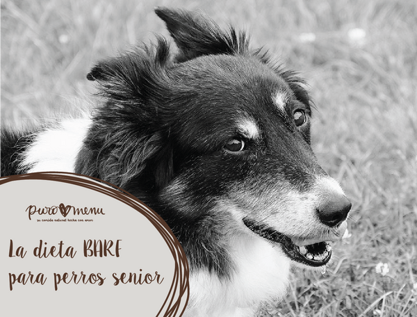 la dieta barf para perros mayores