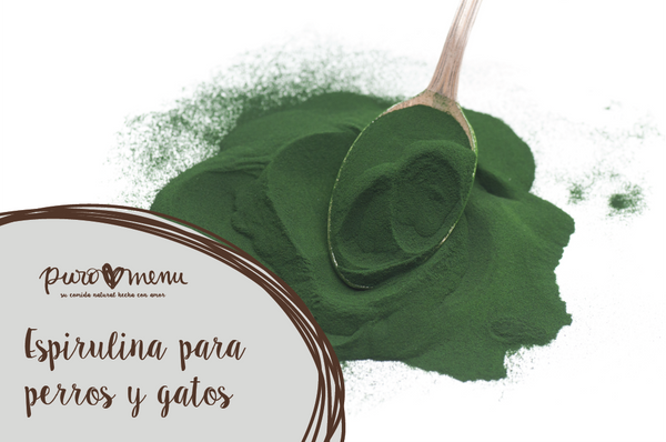 Espirulina para perros el superalimento