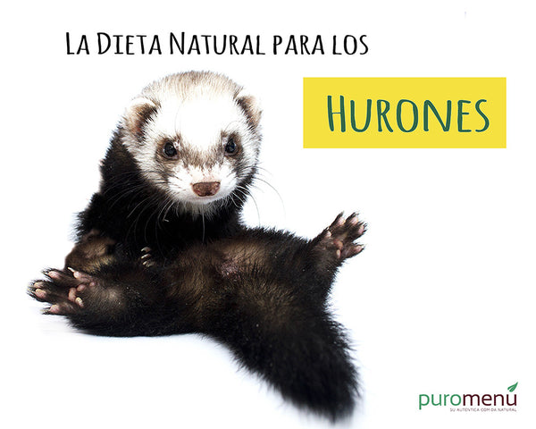 Comida Natural Hurones