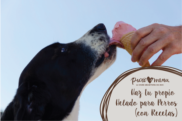 Helado para perros paso a paso y facilmente