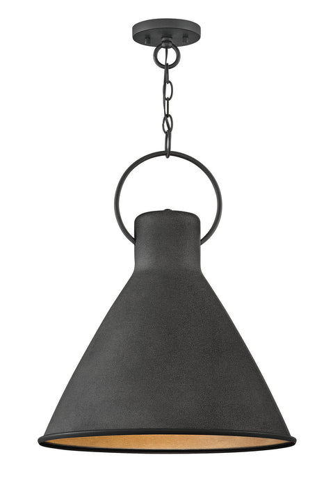 Hinkley - 3555DZ - One Light Pendant - Winnie - Aged Zinc