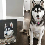 Load image into Gallery viewer, The Princess | Custom Pet Canvas-2-Mooportraits