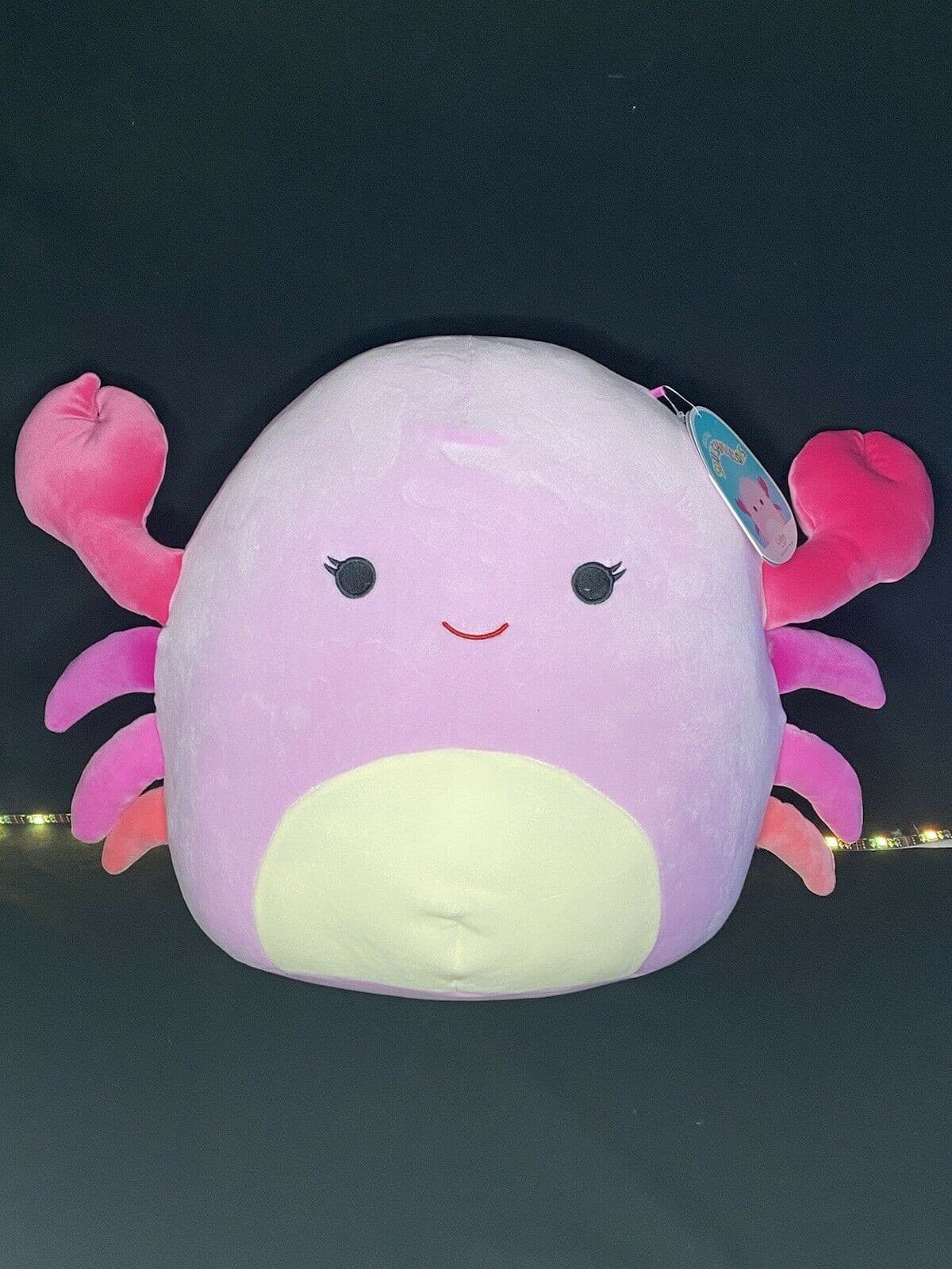 squishmallow cailey