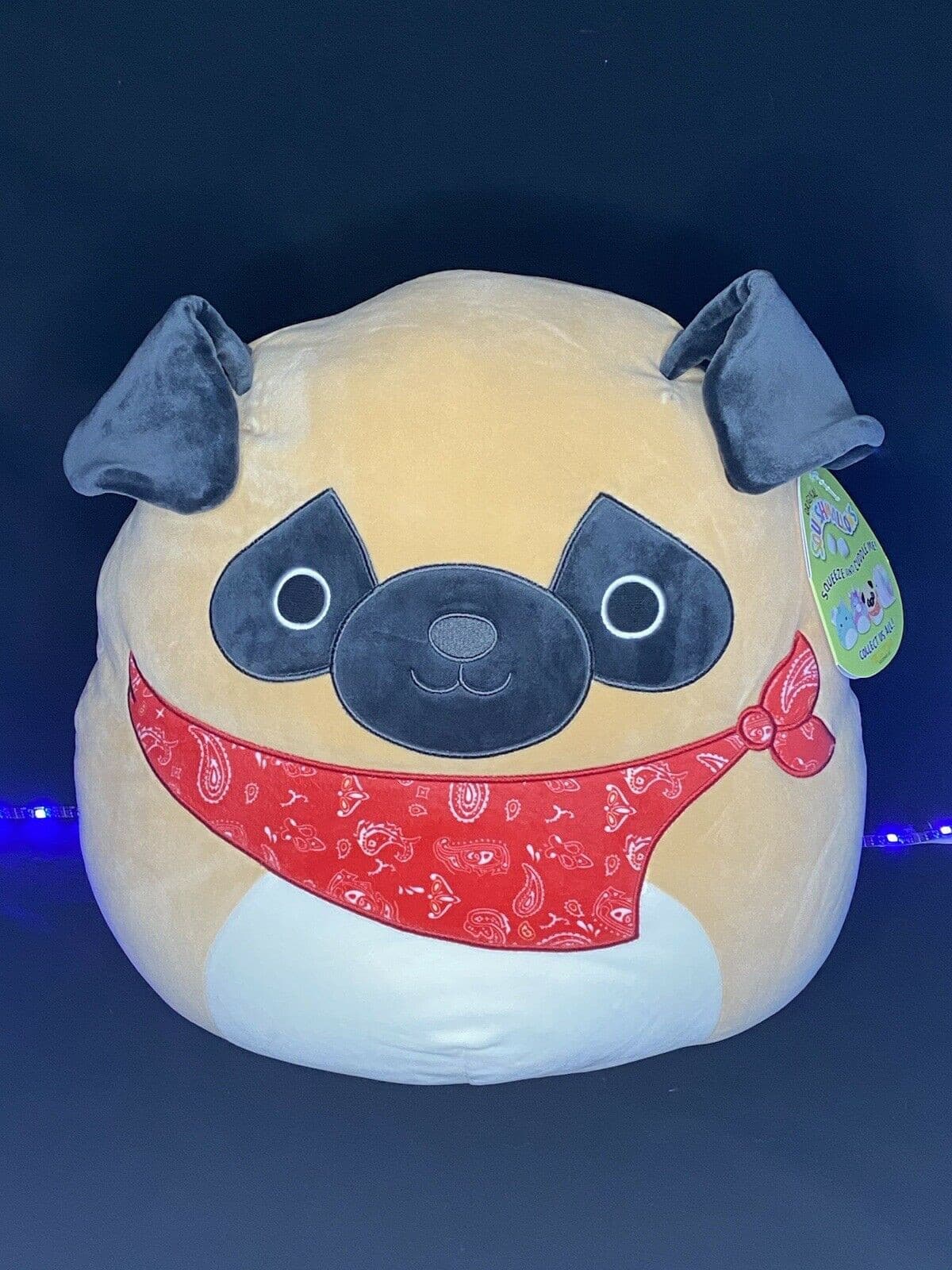 squishmallow pug 16