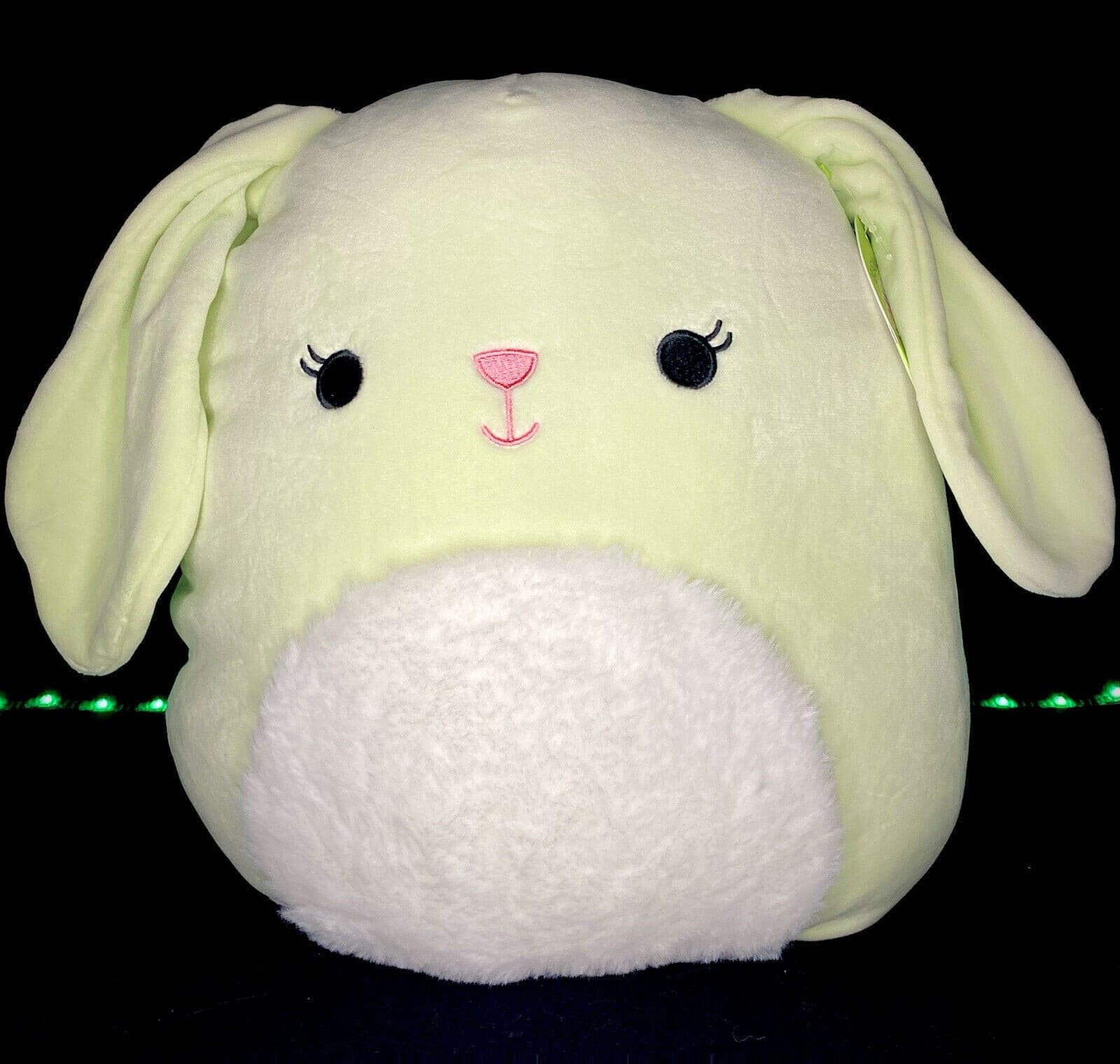 isabella the squishmallow