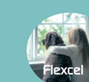 FlexCel CMO/Celadrin canine anti-inflammatory - Ace Canine Healthcare