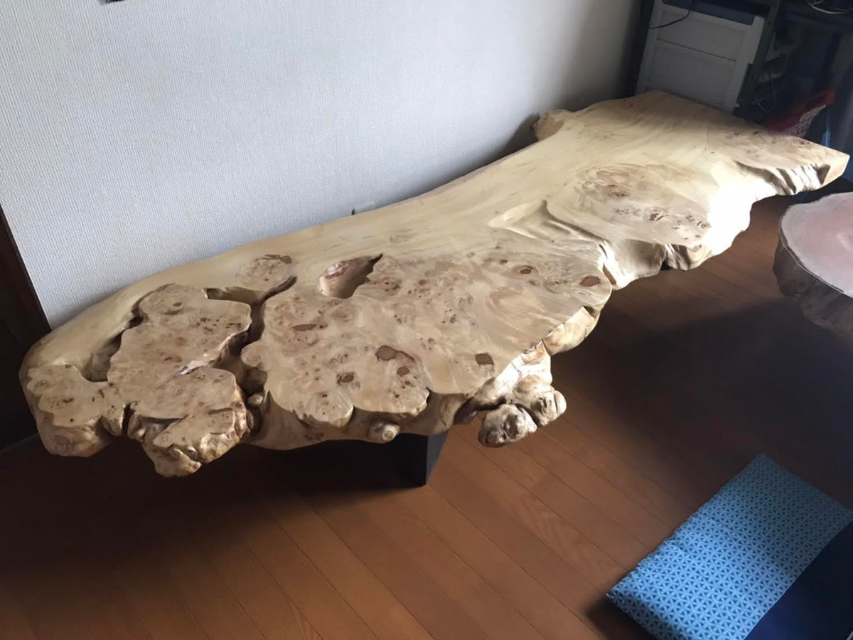 木の根 アンティーク工芸品テーブル - 置物