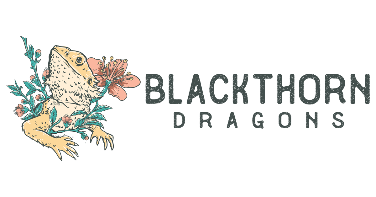 blackthorndragons.com
