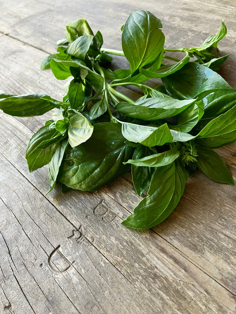 Bio - Basilikum, offen, CHF 21.00 / Kg