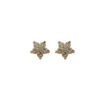 Plated 14k Gold Pavé Crystal Five-pointed Star Earrings Women Simple Fashion Wedding Jewelry Accessories. And the best jewelry to wear for various banquet occasions.