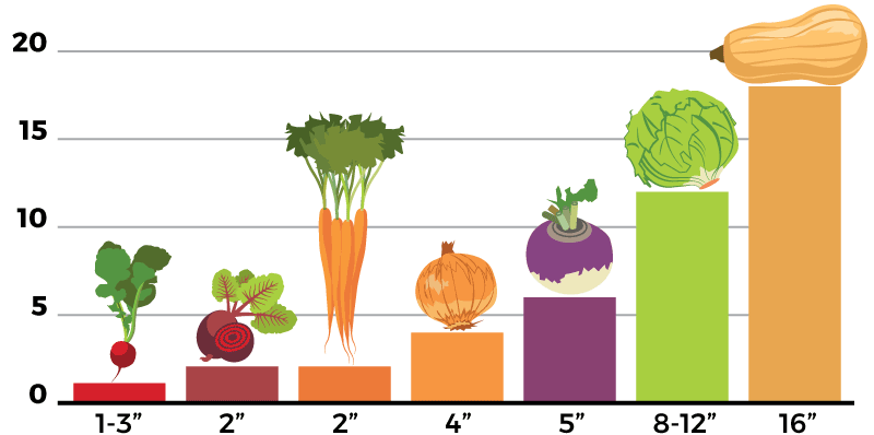 Seedling Chart