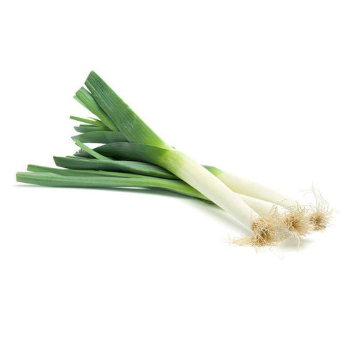 Leek - American Flag (Bulk) - Bentley Seeds