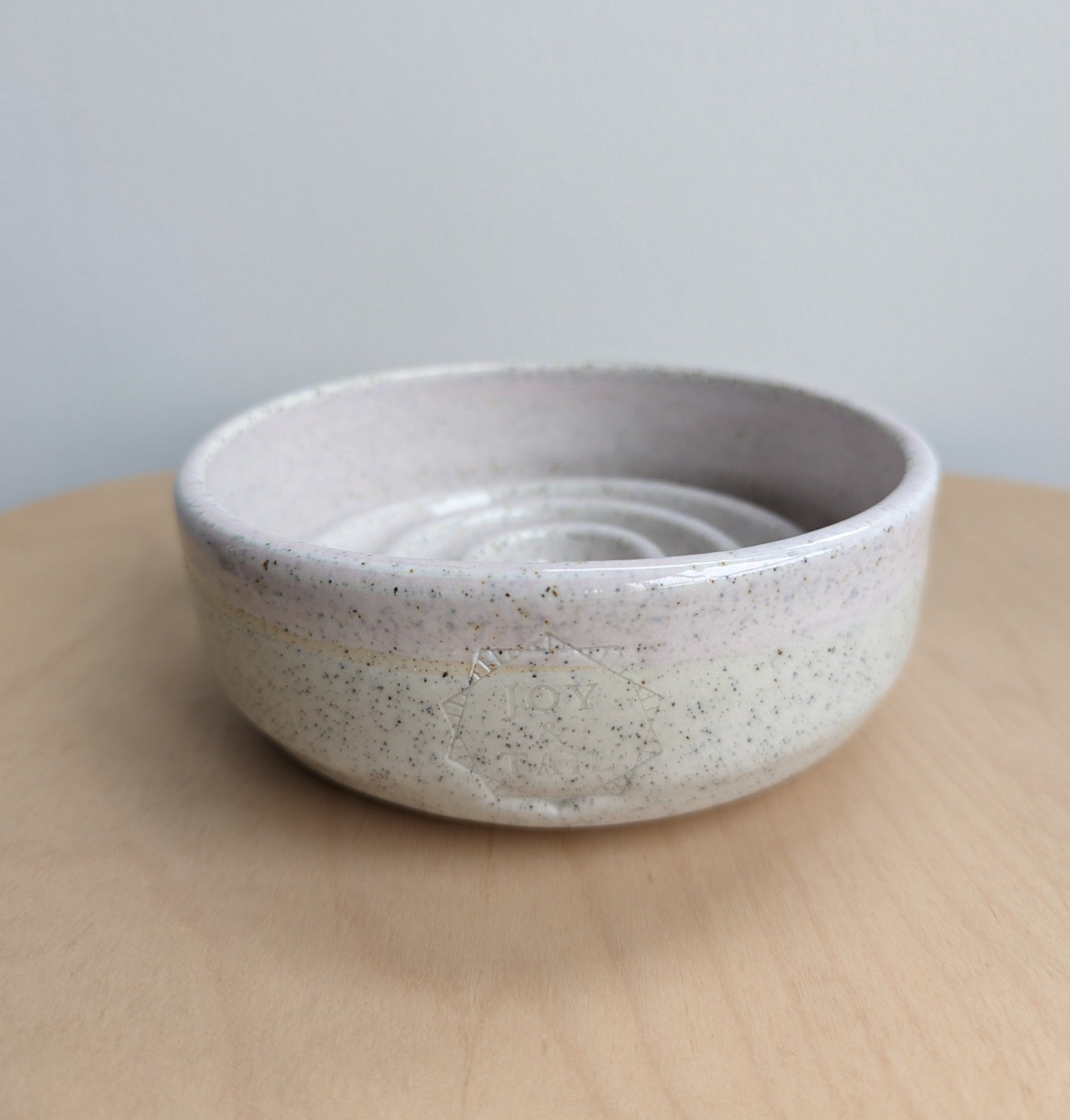 ceramic slow feeder bowl