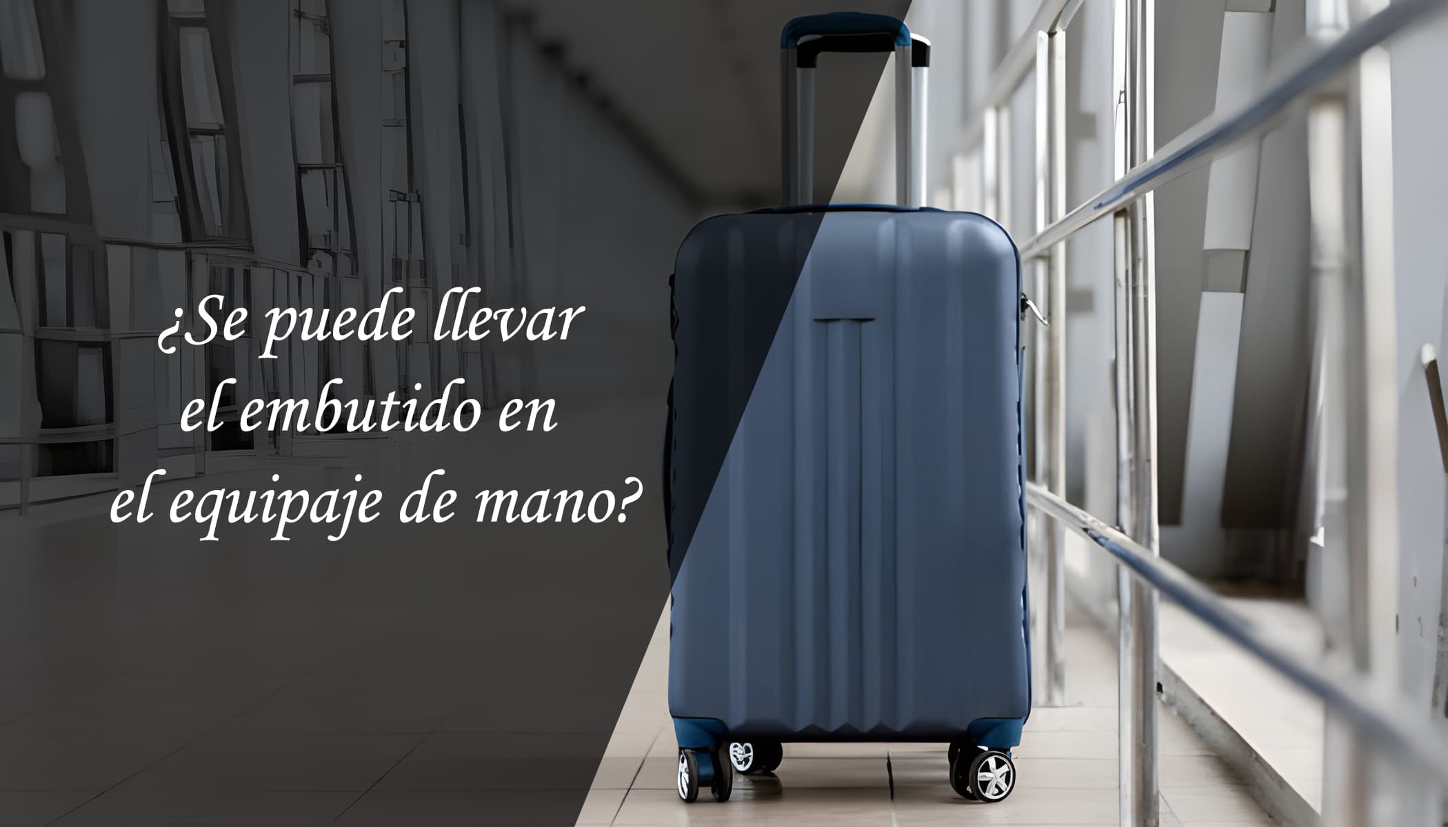 Incompetencia suspender Mente Se puede llevar el embutido en el equipaje de mano? – Marcelino Ibericos