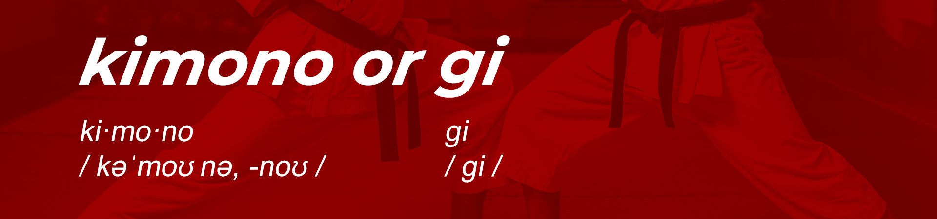 Gi meaning