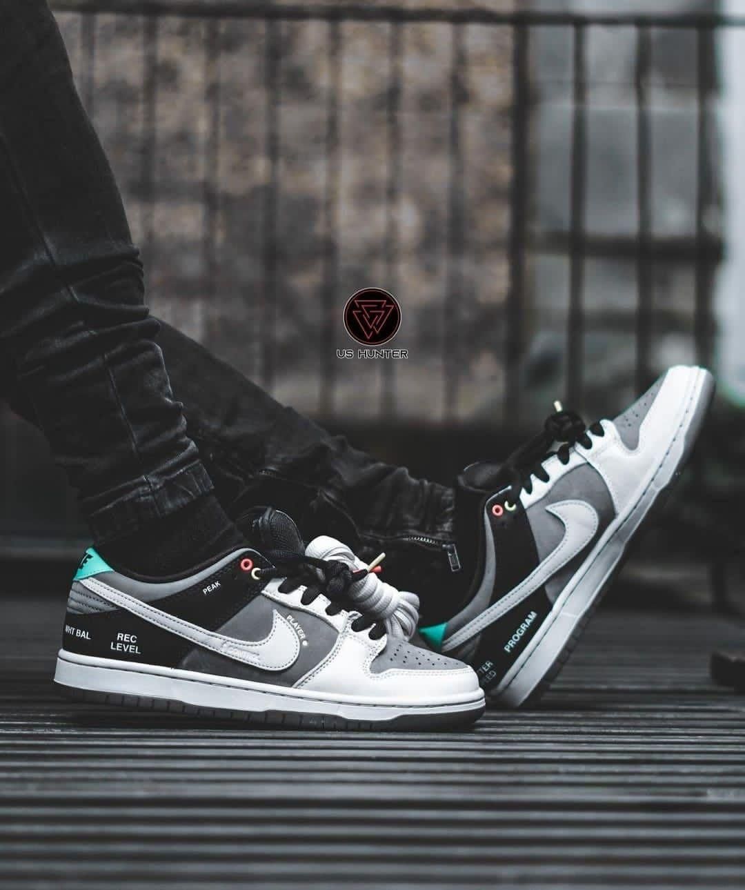 dunk low sb camcorder