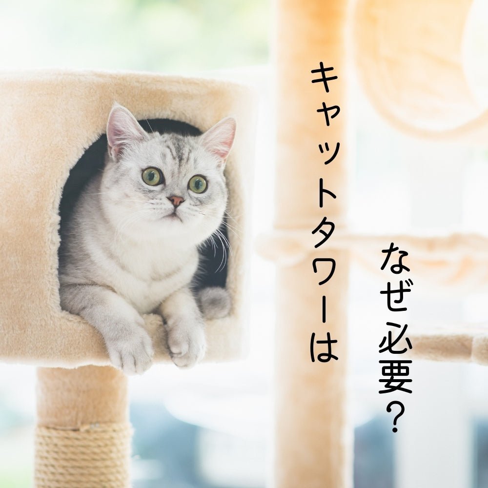 ❤仔猫もシニア猫も遊べる＆ゆったり寛げると大人気♪❤お洒落