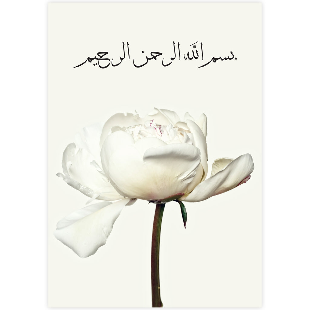 Bismillah Al Rahman Al Rahim White Rose, Poster – ISLAM POSTERS