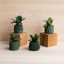 Load image into Gallery viewer, Oslo Origami Kobe Stockholm Green - Set of 4 planters
