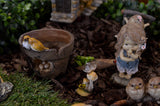 Miniature Fairy Gardens are a Touch of Magic!