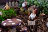 Miniature Fairy Gardens are a Touch of Magic!