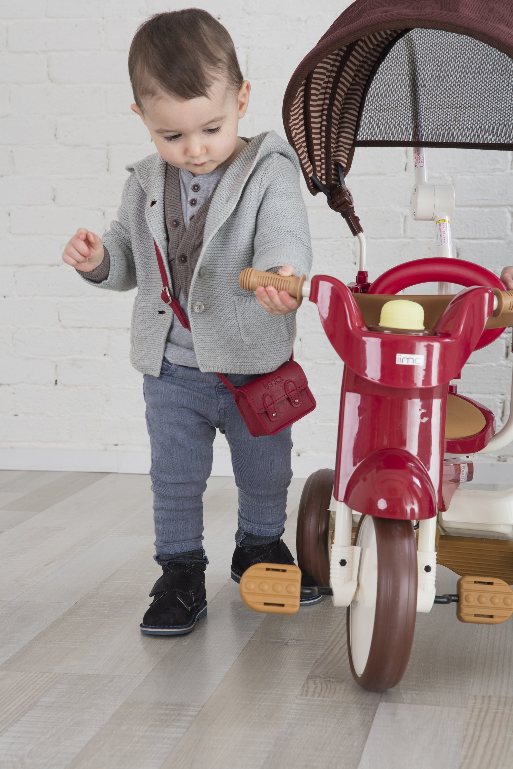 iimo 3-in-1 Foldable Tricycle with Canopy