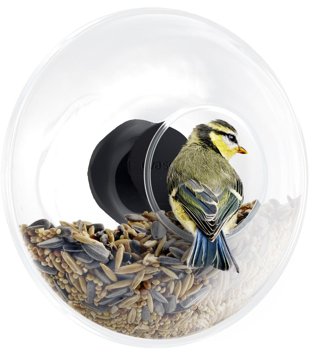 Doe voorzichtig Voor een dagje uit Conform Raamvoederhuisje glas groot– Vogelhuisjestore