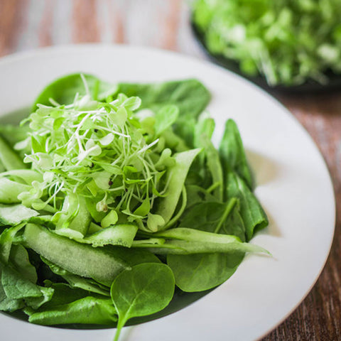 green leaf salad 