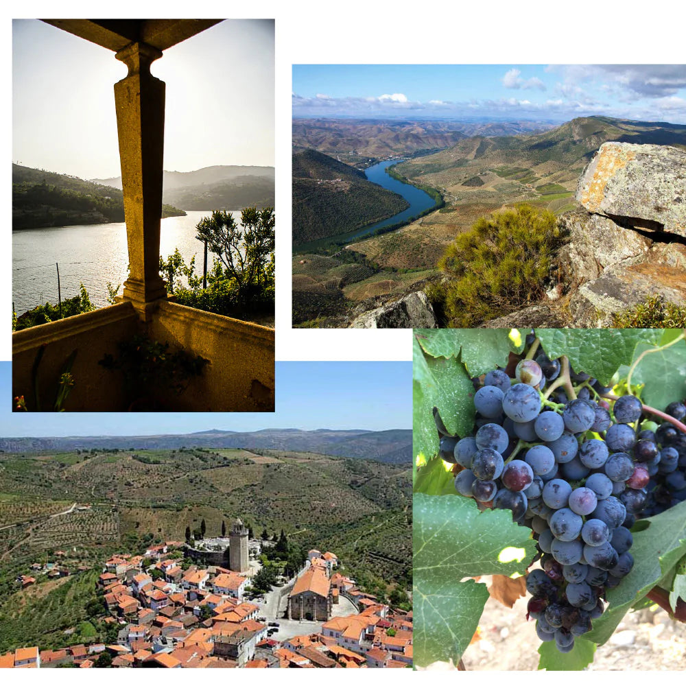 Adega Exclusiva Weinreisen 13.06.24 – 17.06.24