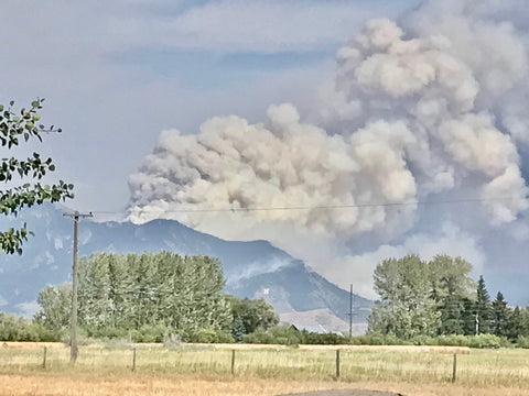 smoke views from Alpacas of Montana