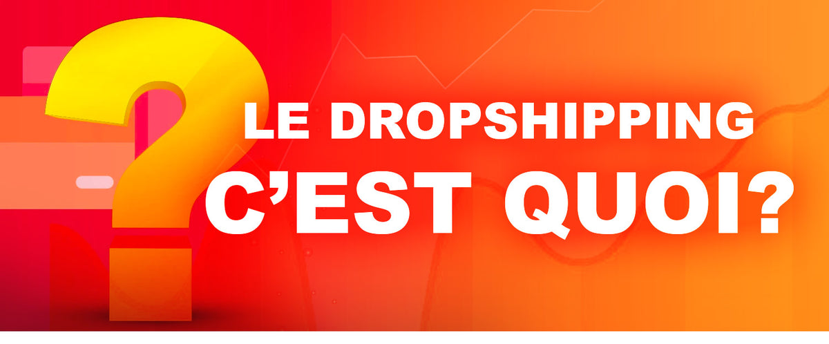 Le Dropshipping C Est Quoi Exactement Seo Reborn