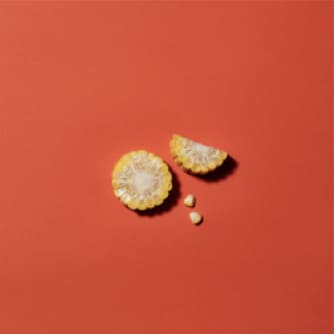 Less is More「Only 9」 Image 3