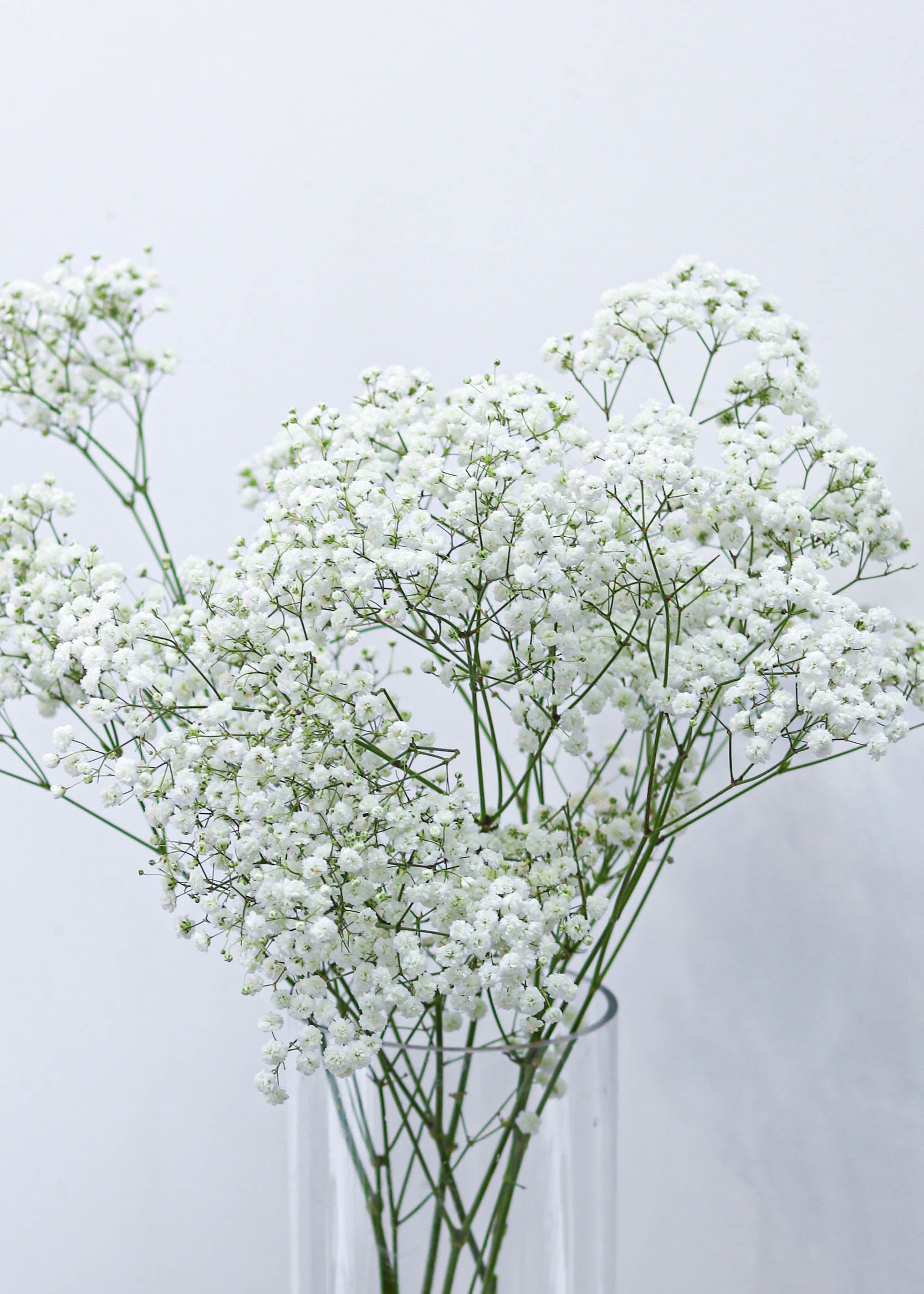 Mini baby's breath bouquet New York Florist: Flordel LLC