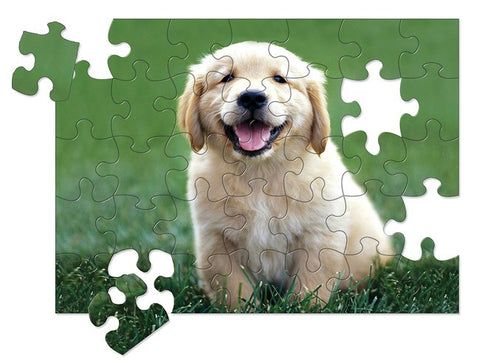 Golden Retriever Puppy 30- Piece Cardboard Jigsaw Puzzle - Melissa and Doug