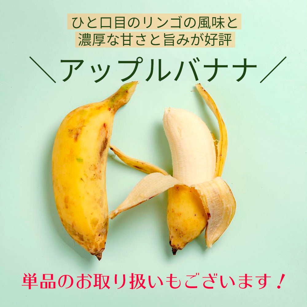 売れ筋 沖縄県産59アップルバナナ♡銀バナナ♡島バナナ房なしバラ