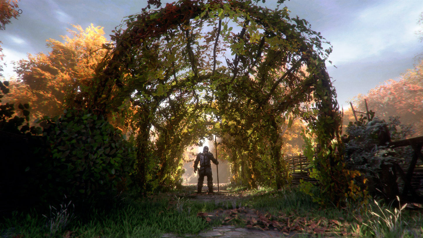 Screenshot A Plague Tale: Innocence PlayStation 4 UK