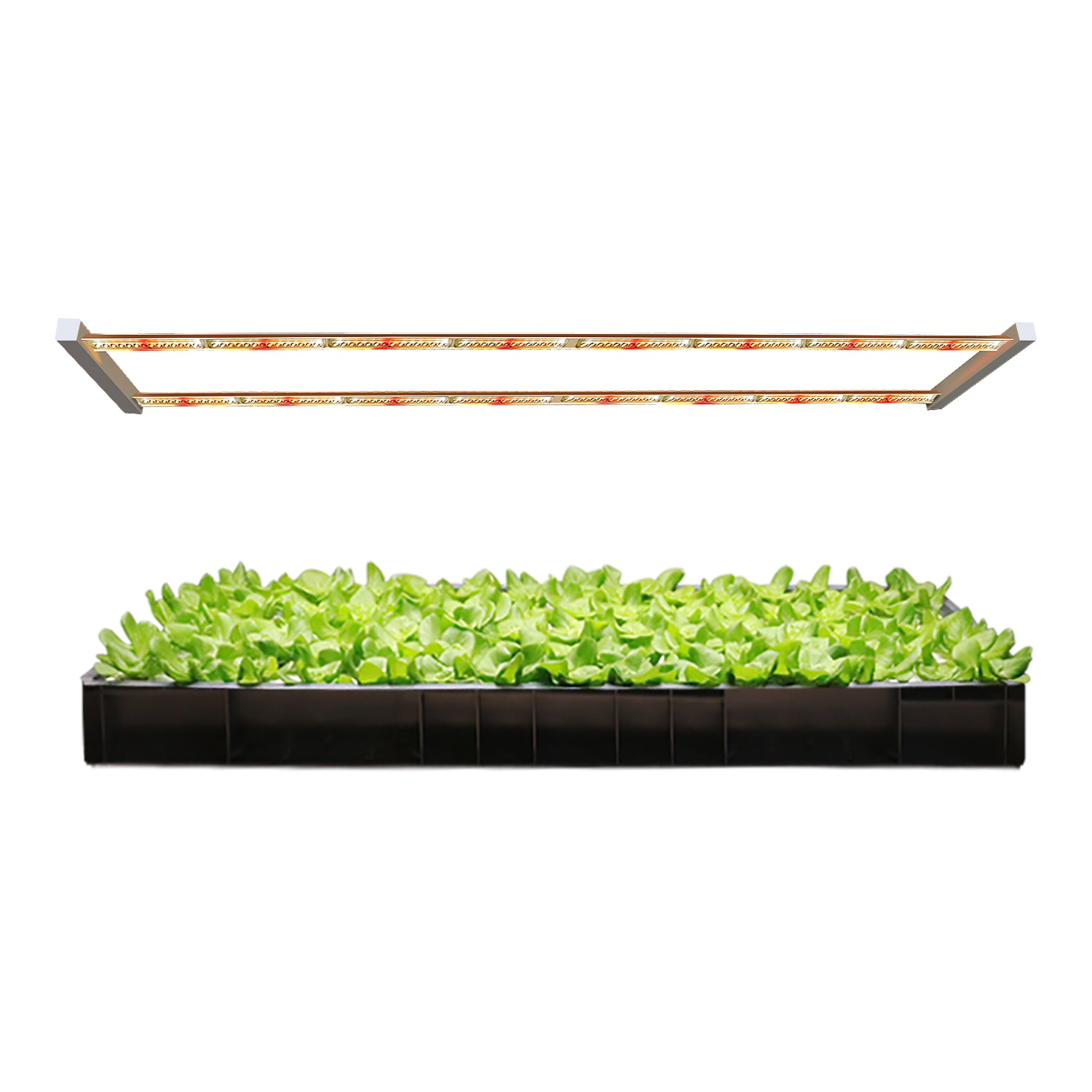 led grow light ace hardware