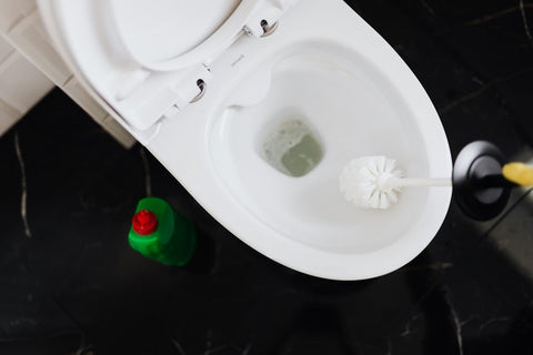http://cdn.shopify.com/s/files/1/0567/3873/files/crop-person-cleaning-toilet-bowl-with-toilet-brush-4239088_large.jpg?v=1594663347