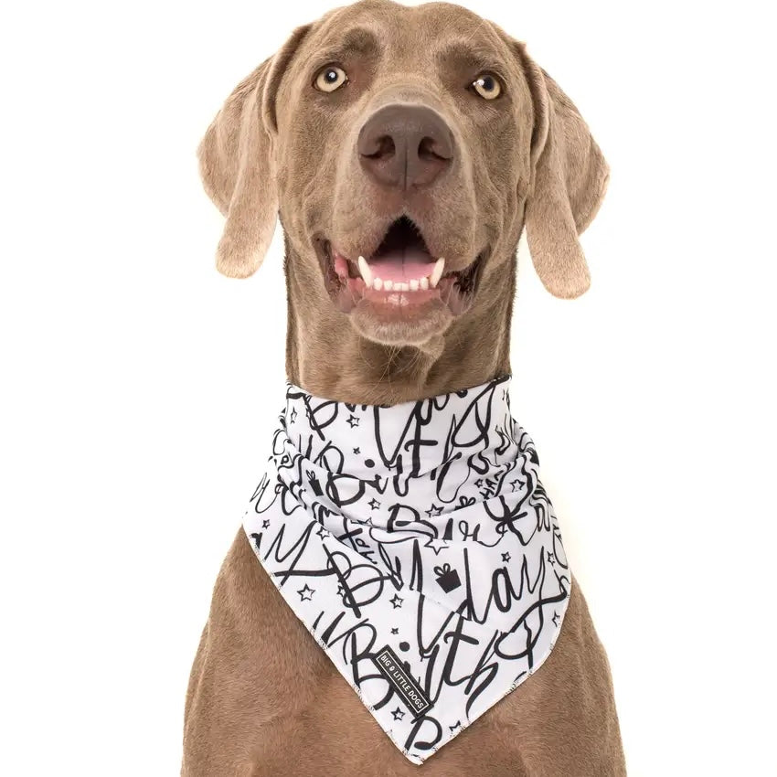 Happy Birthday Dog Bandana Uk Happy Birthday Dog Bandana | Big & Little Dogs – Barklife Boutique