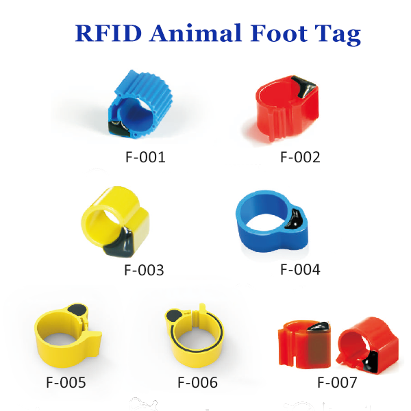 100pcs ABS PP Material RFID Chicken Duck Goose Tag foot ring tag for fowl management