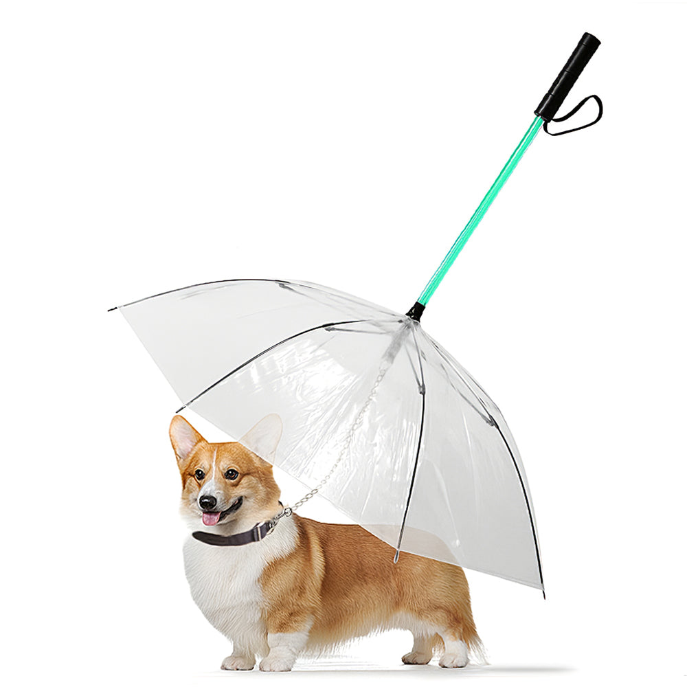 entre a menudo veredicto Correa impermeable con paraguas y luz led para mascotas,perros,perrito –  amigosdemascotas