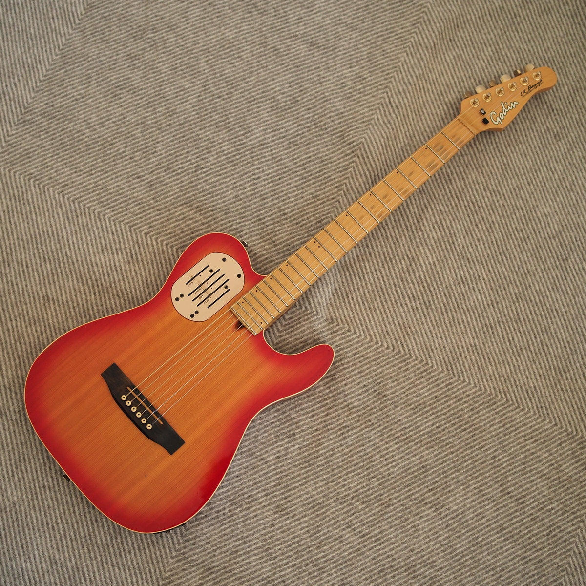 godin lr baggs