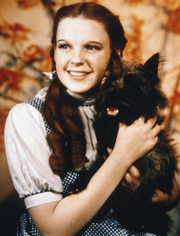 Dorothy from Wizard of Oz inspiration