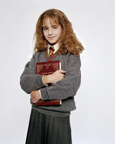Hermione Granger, Harry Potter