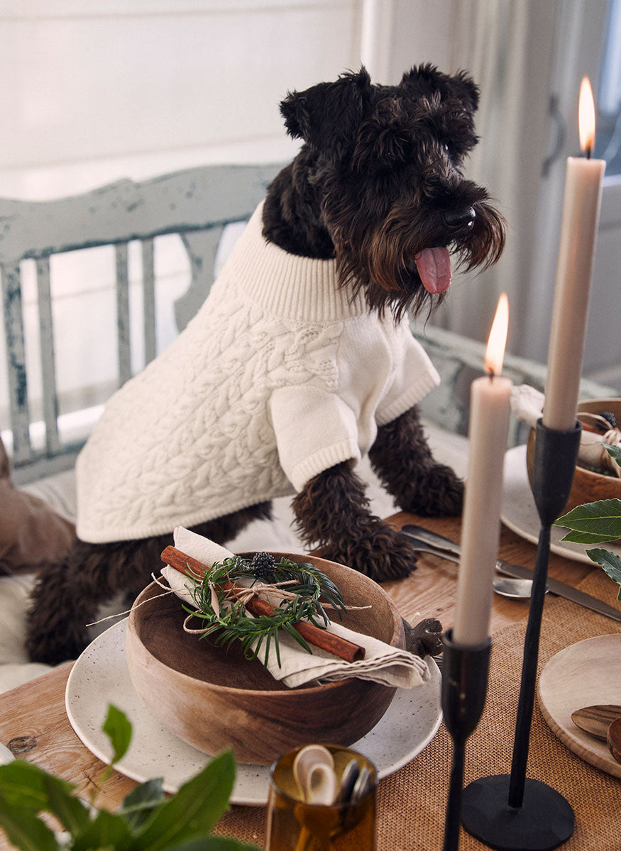 mint velvet dog jumper