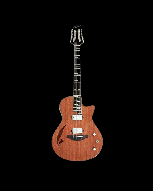 The Swiss Army Knife of Electric Guitars MULTISPECIALIST2